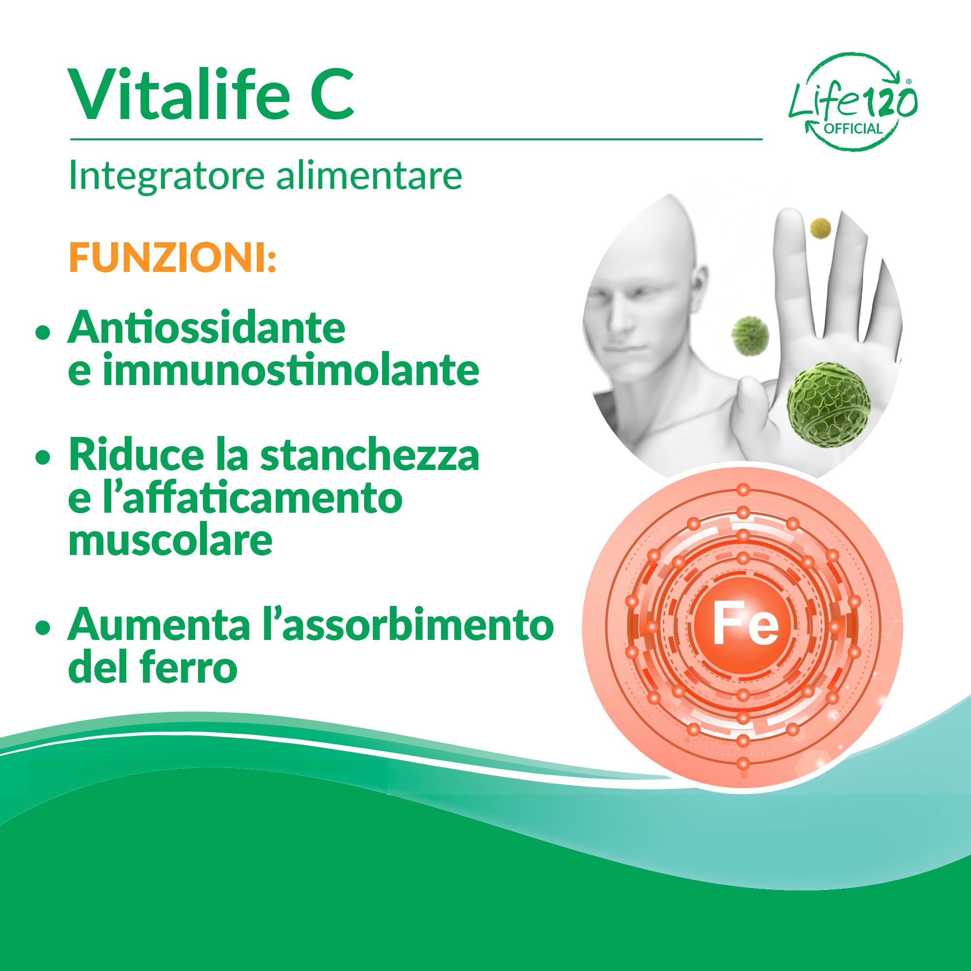 Azione antiossidante contro i radicali liberi