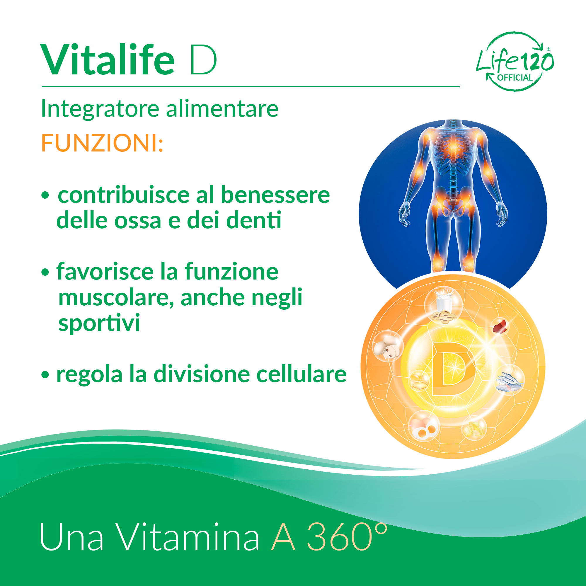 Ossa forti, struttura preservata